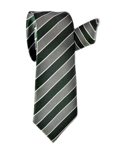 The Smart School Tie